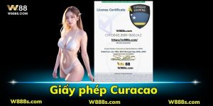Ý Nghĩa Của Giấy Phép Curacao Trong Hoạt Động Giải Trí