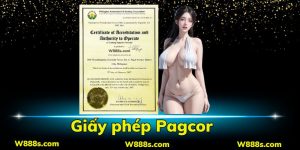 Giấy Phép Pagcor - Minh Chứng Nhà Cái W88 Uy Tín